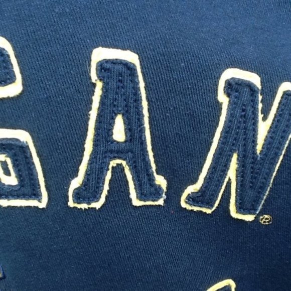 Michigan Men's Foot Locker Blue Hoodie Sz. Large - Picture 2 of 5